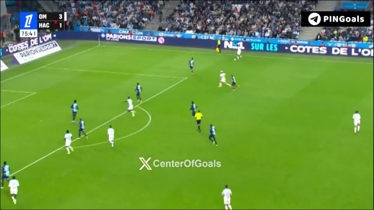 zaslepka skrotu video