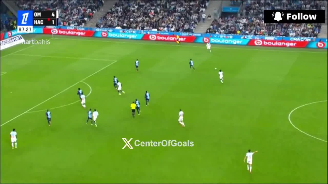 zaslepka skrotu video