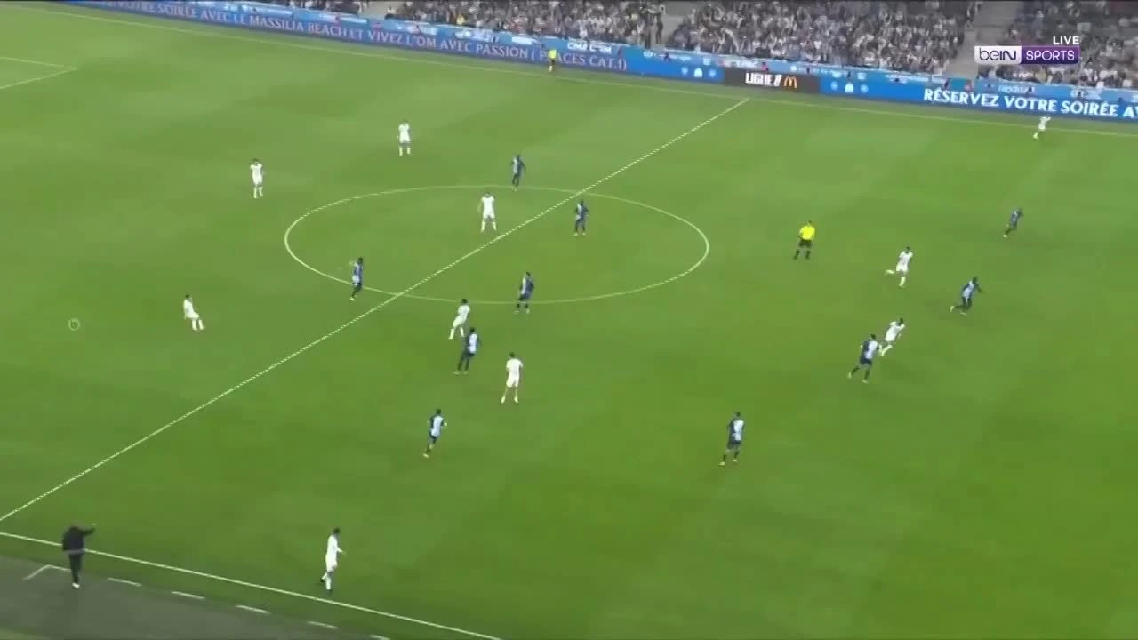 zaslepka skrotu video
