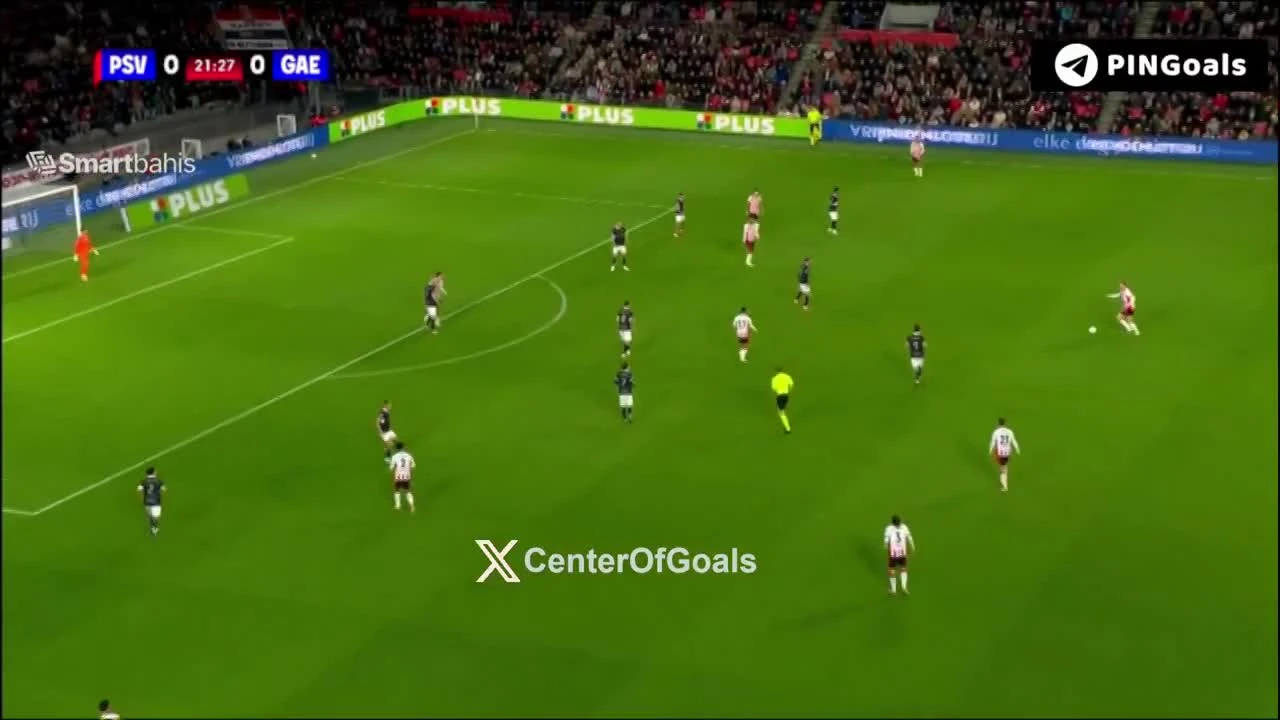 zaslepka skrotu video