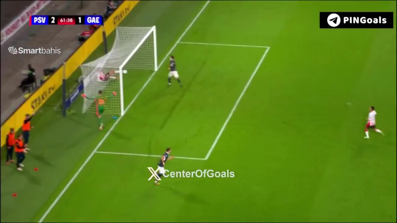 zaslepka skrotu video