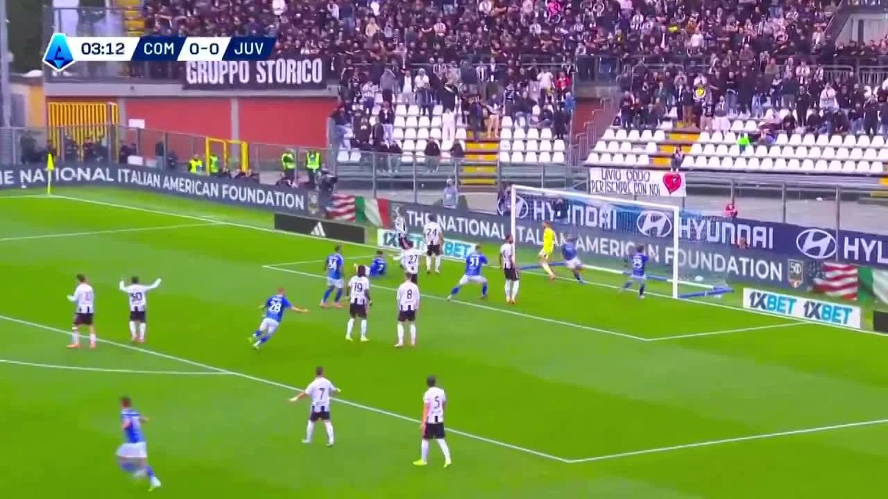 zaslepka skrotu video