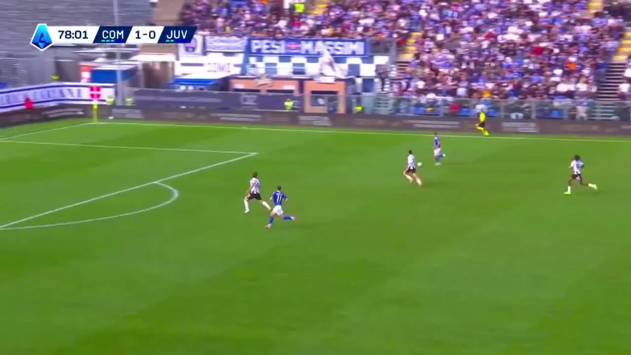 zaslepka skrotu video