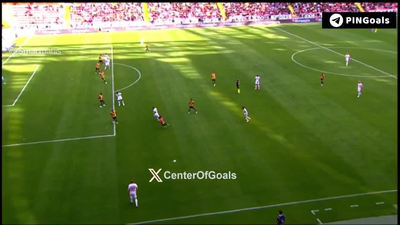 zaslepka skrotu video