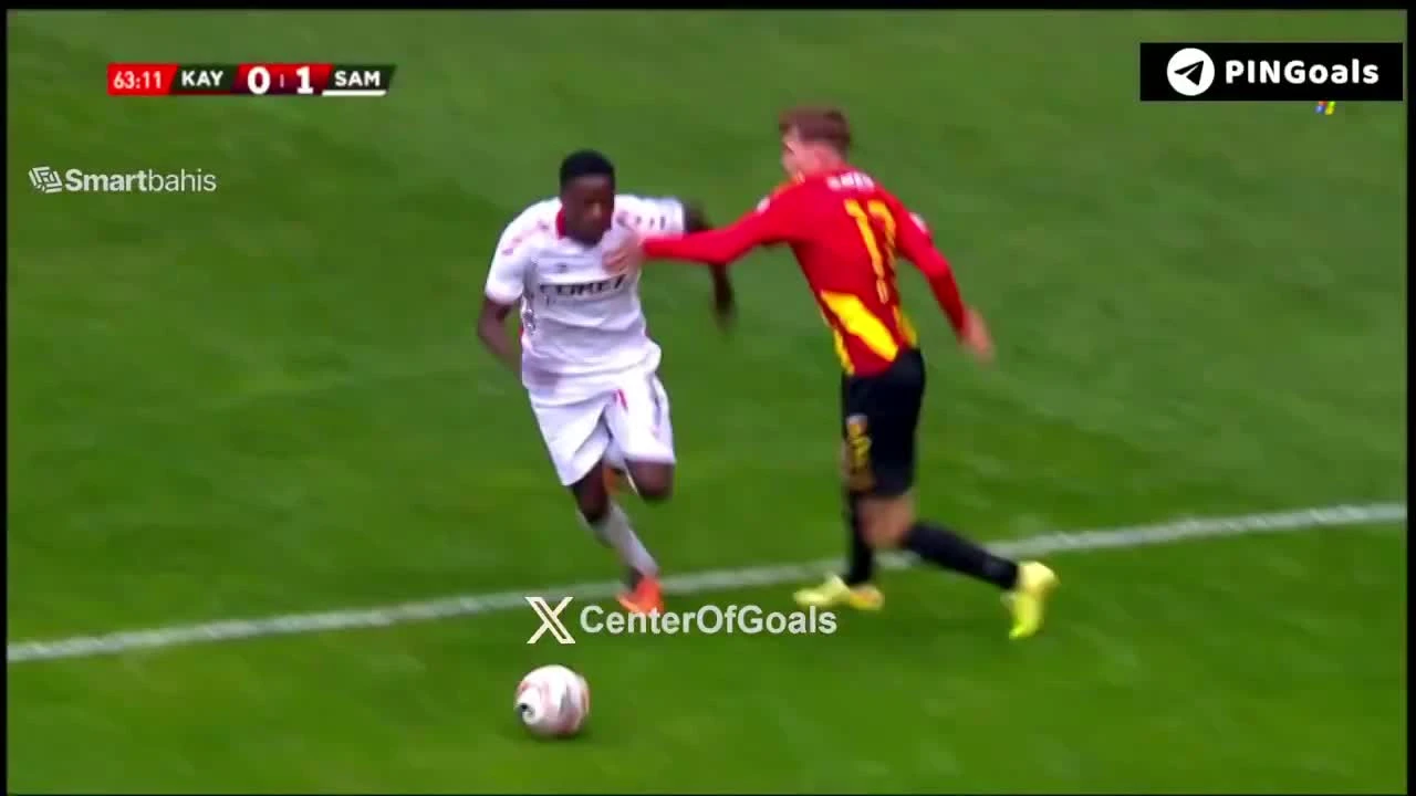 zaslepka skrotu video