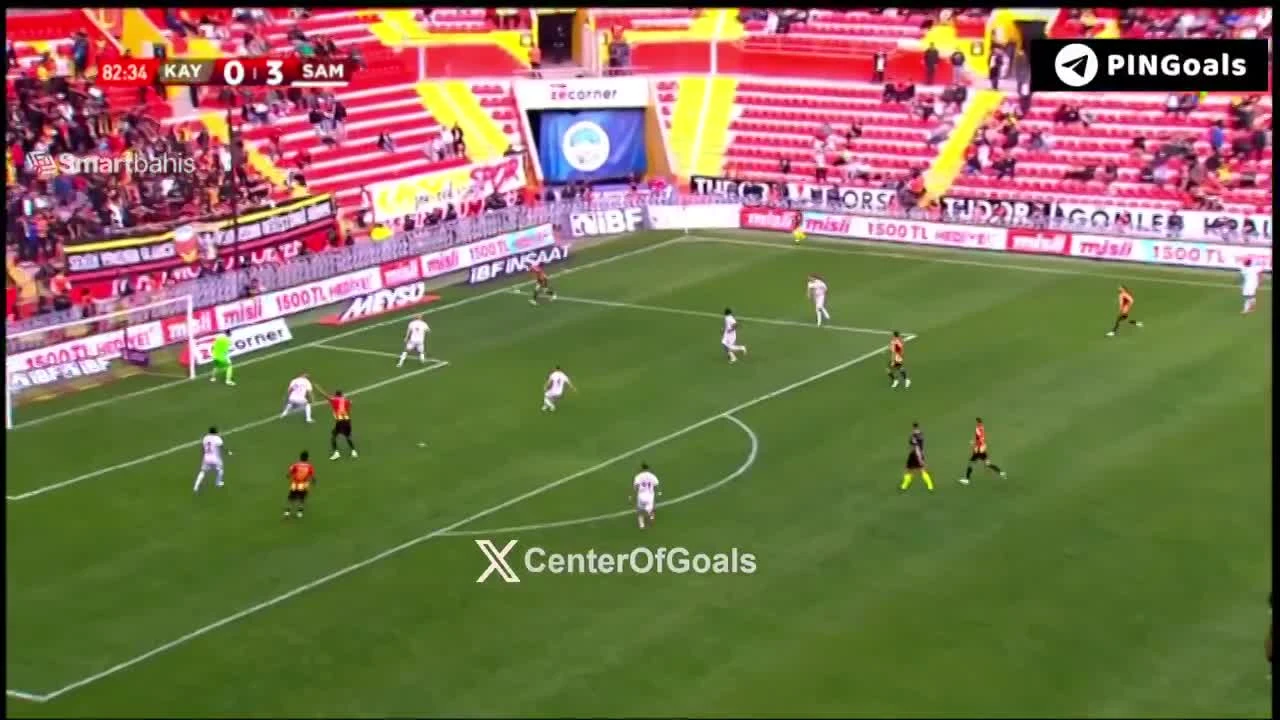 zaslepka skrotu video