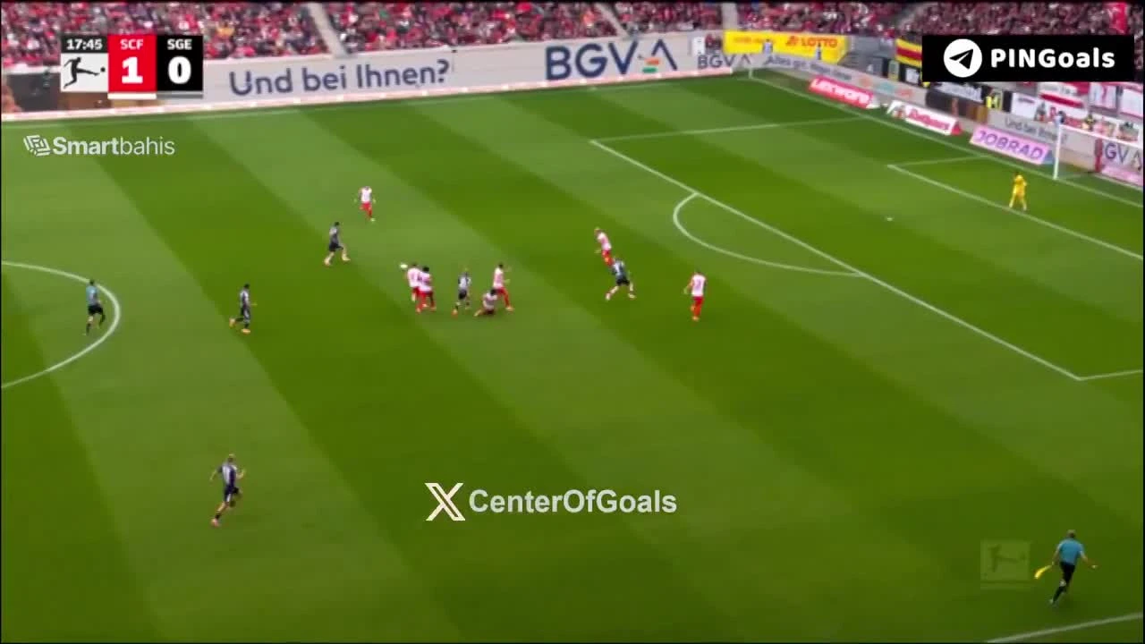 zaslepka skrotu video