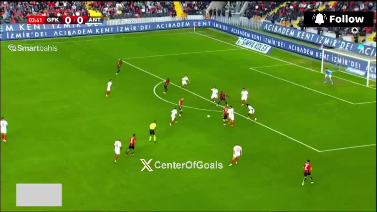 zaslepka skrotu video