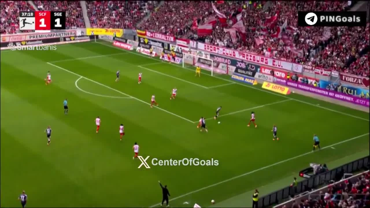 zaslepka skrotu video
