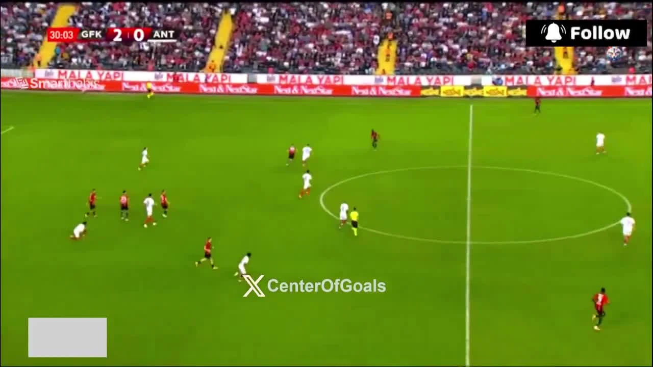 zaslepka skrotu video
