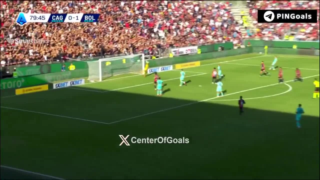zaslepka skrotu video