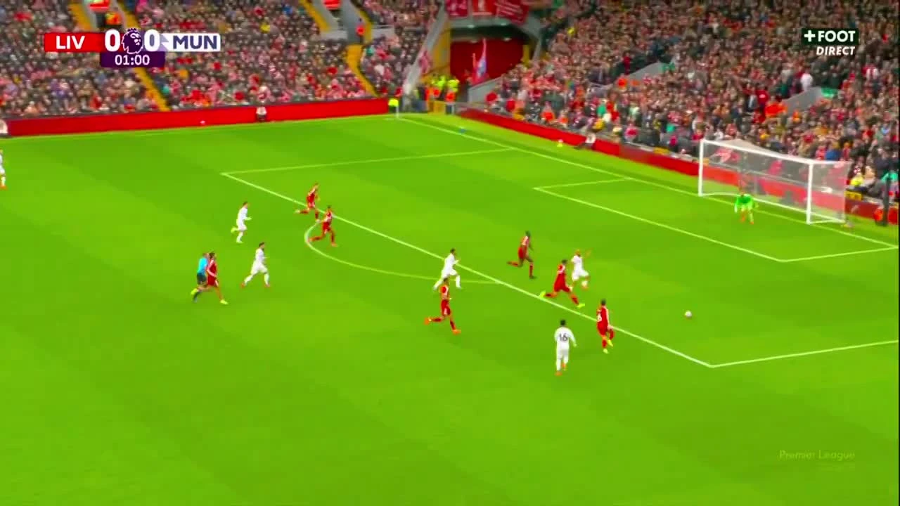 zaslepka skrotu video