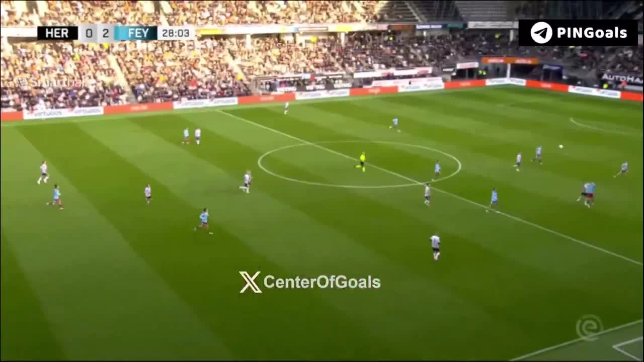 zaslepka skrotu video