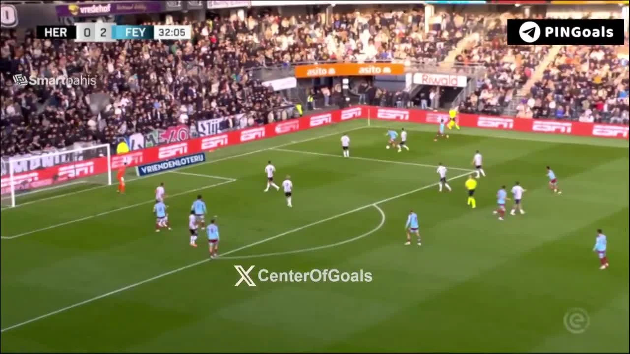 zaslepka skrotu video