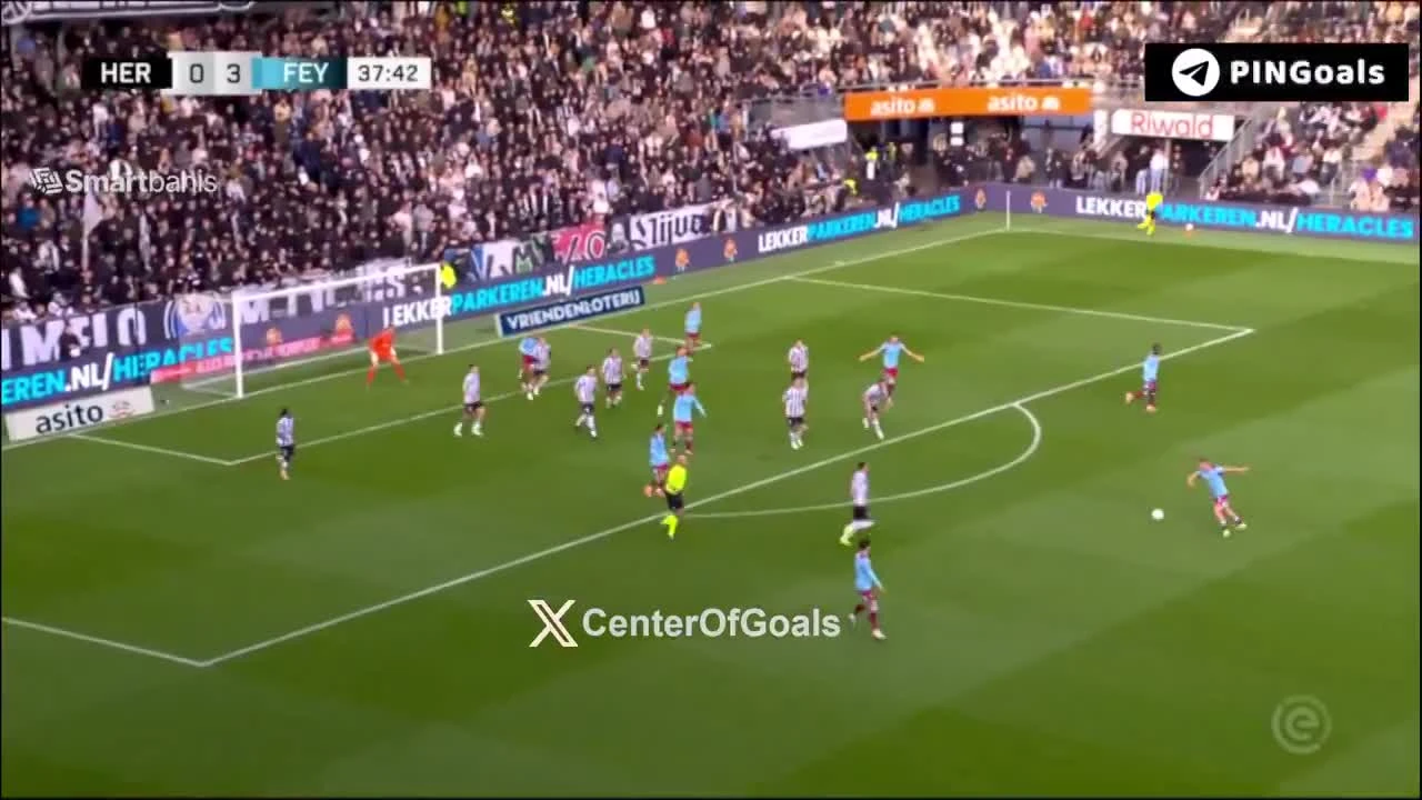 zaslepka skrotu video