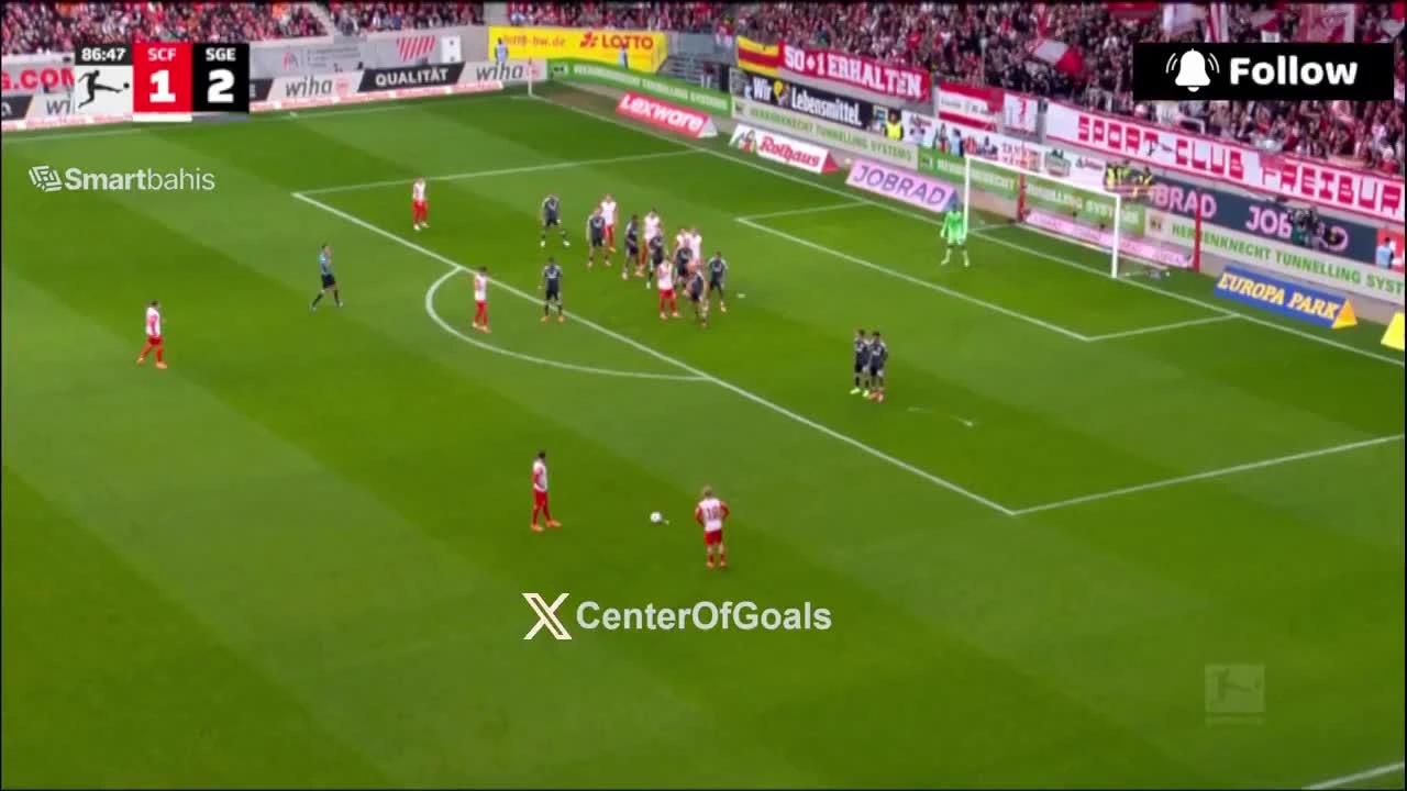 zaslepka skrotu video