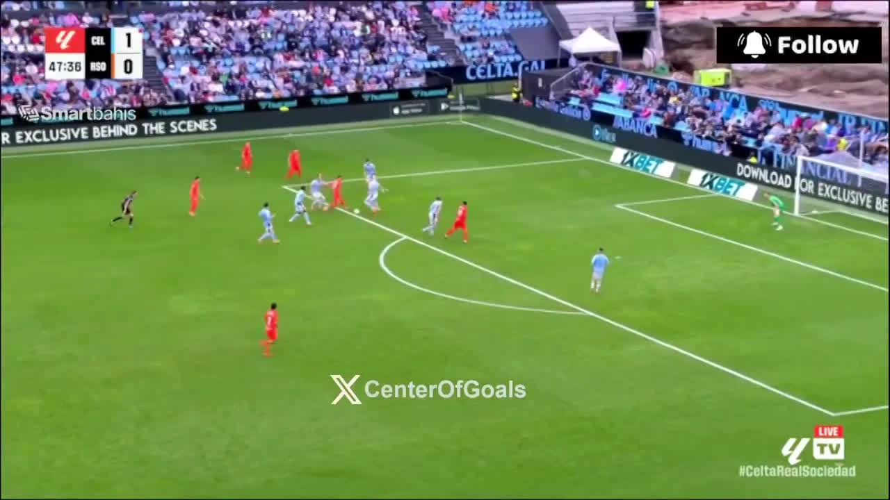 zaslepka skrotu video
