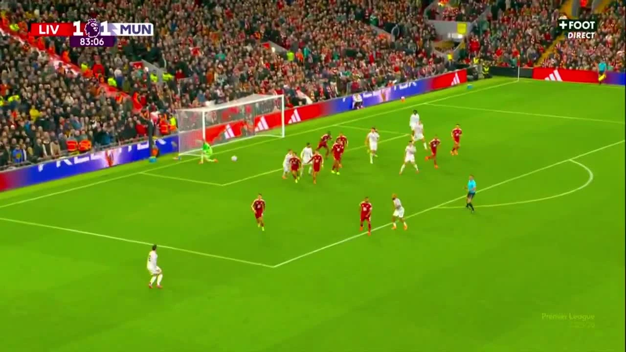 zaslepka skrotu video