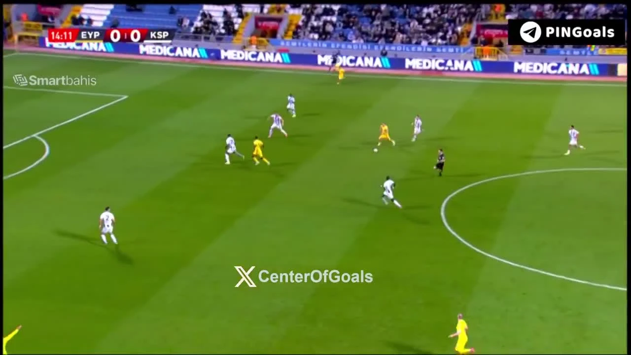 zaslepka skrotu video
