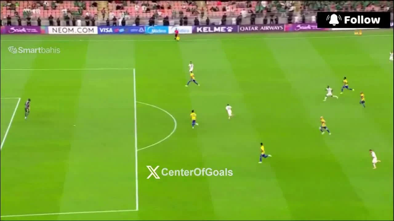 zaslepka skrotu video