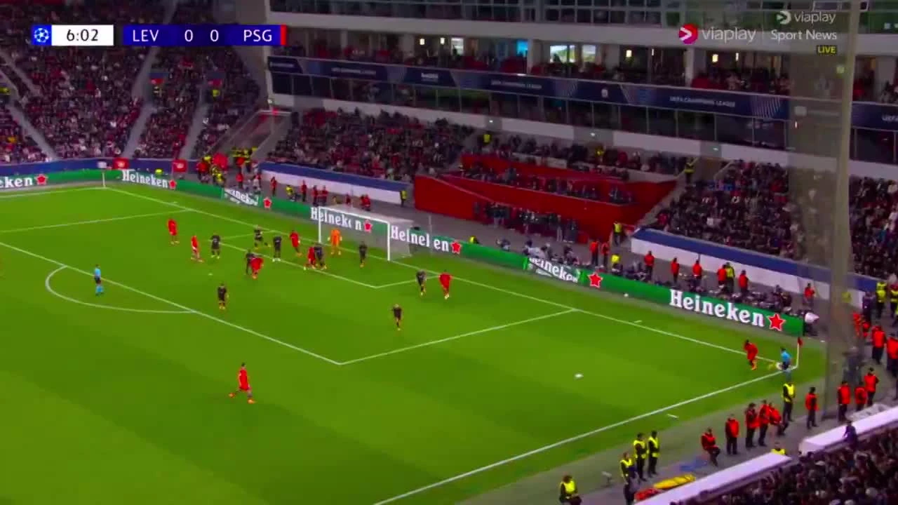 zaslepka skrotu video