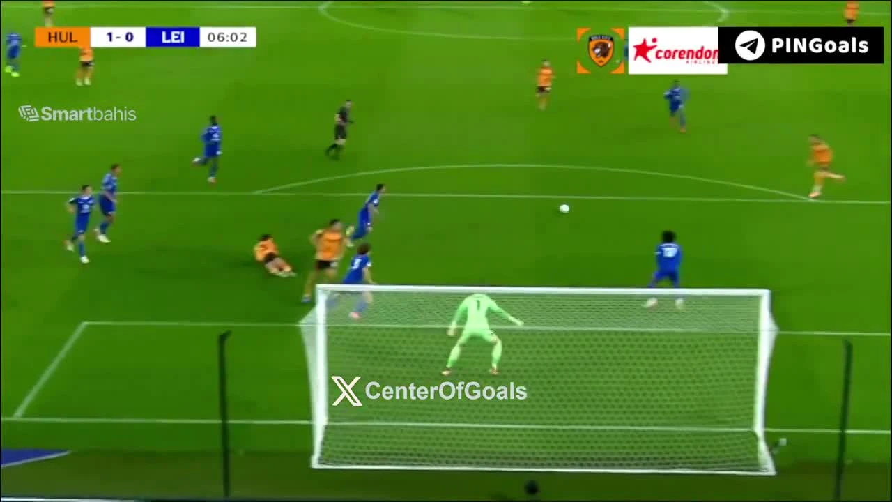 zaslepka skrotu video