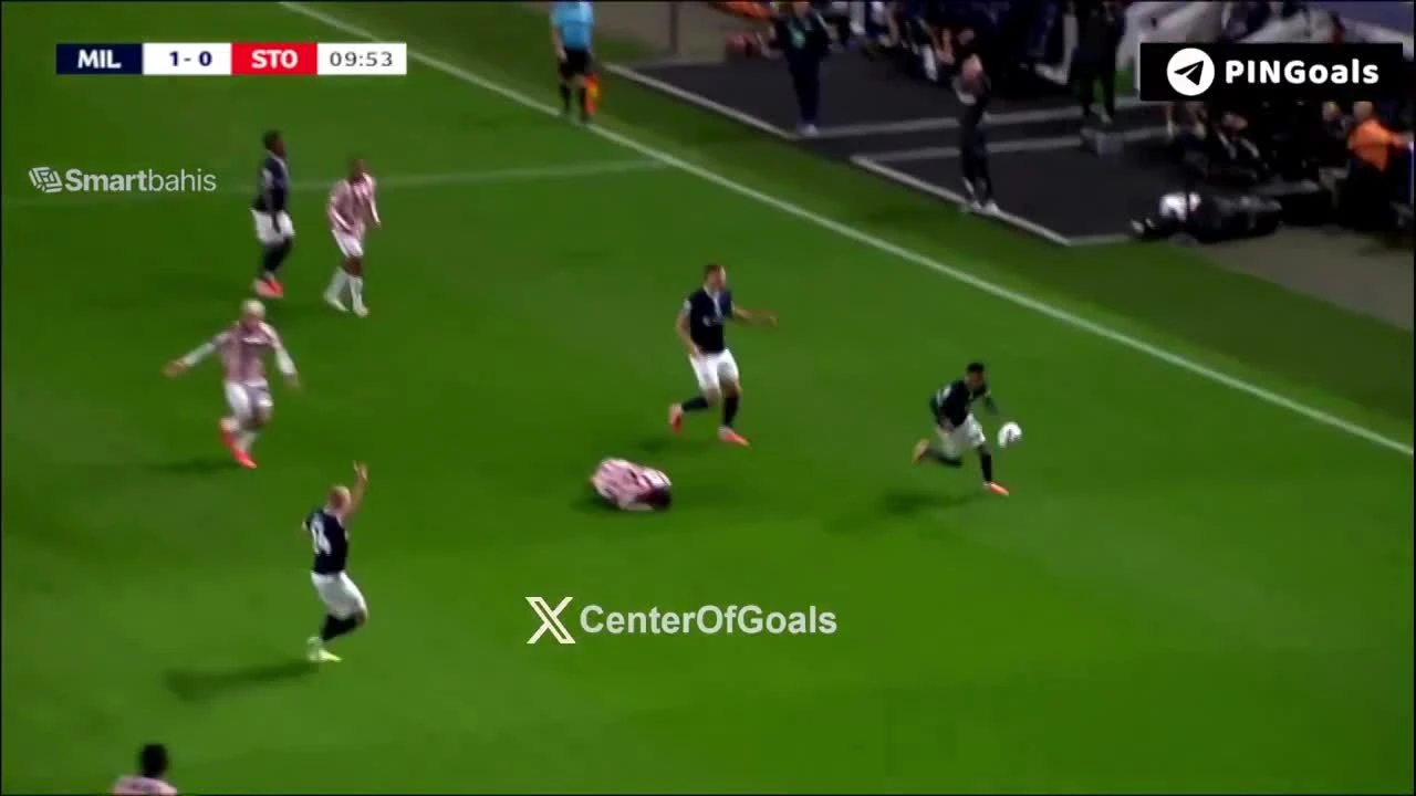 zaslepka skrotu video