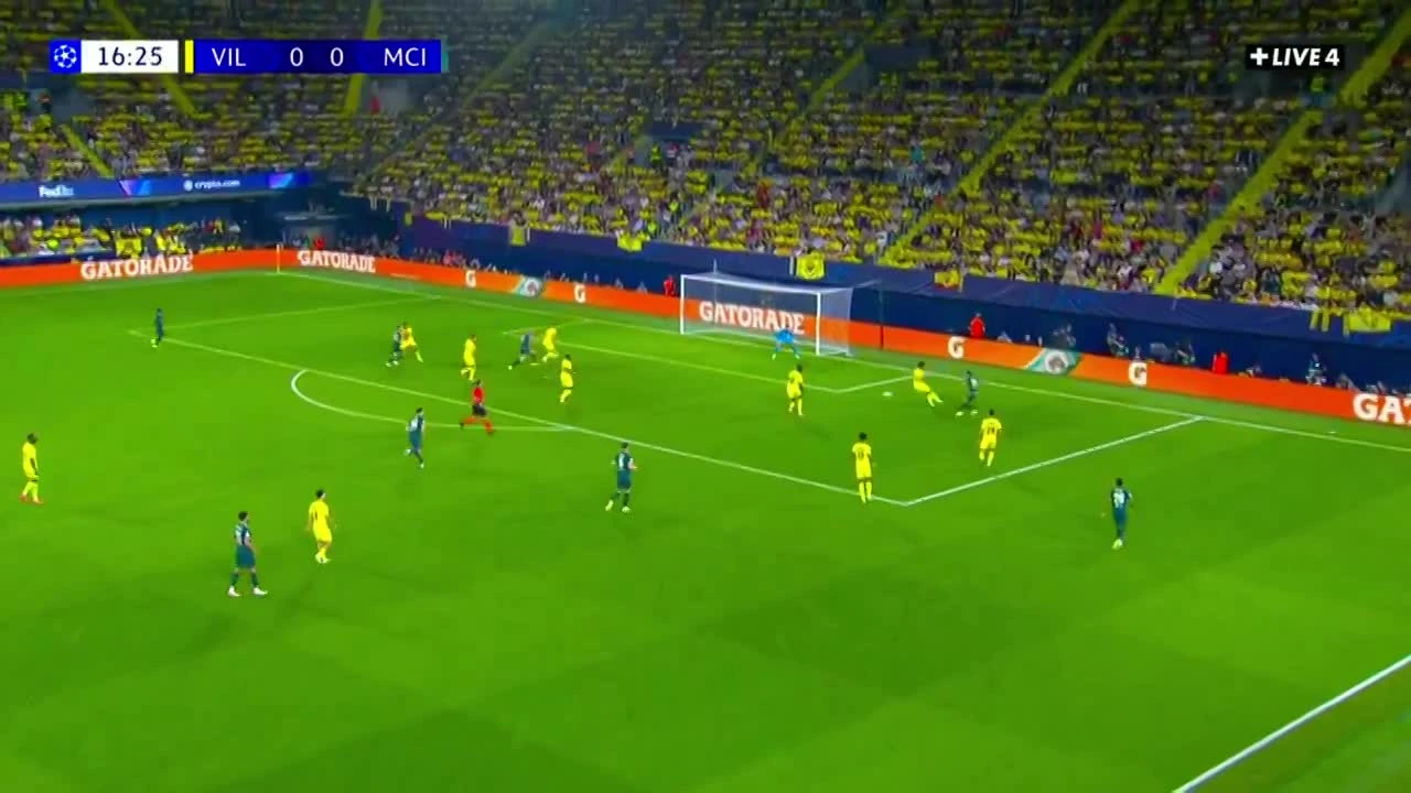 zaslepka skrotu video