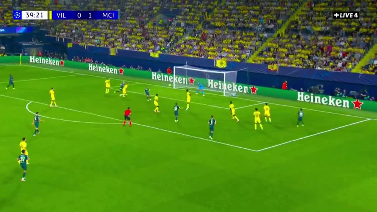 zaslepka skrotu video