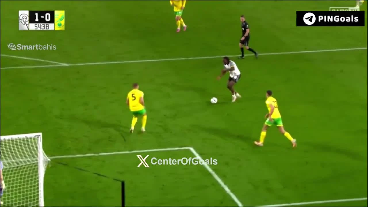 zaslepka skrotu video