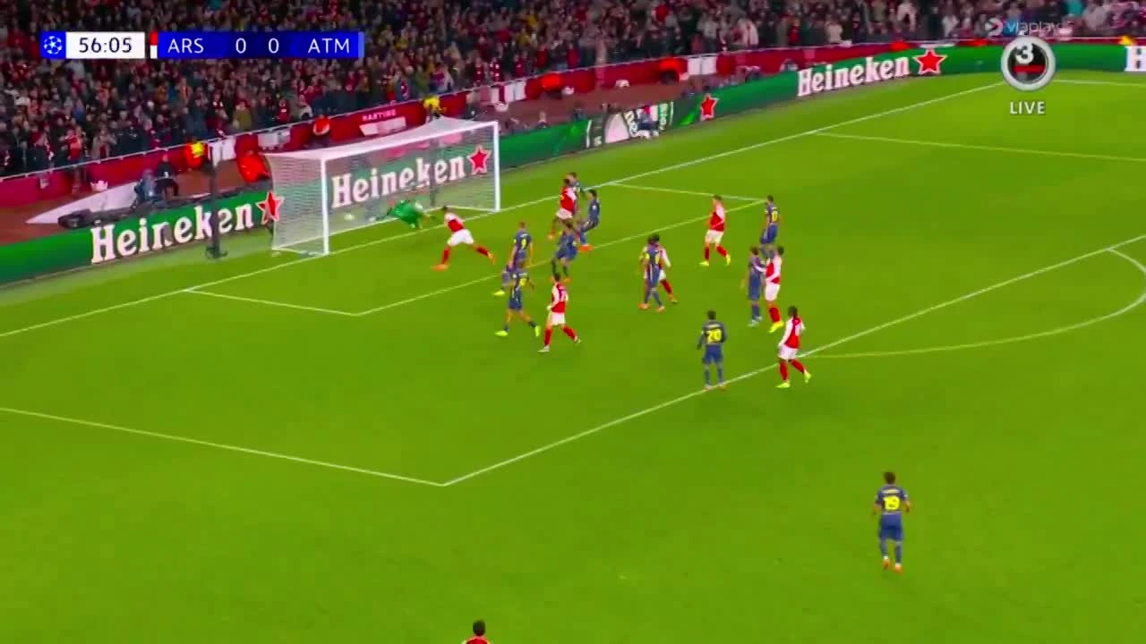 zaslepka skrotu video