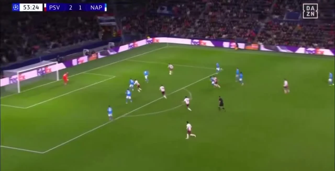 zaslepka skrotu video