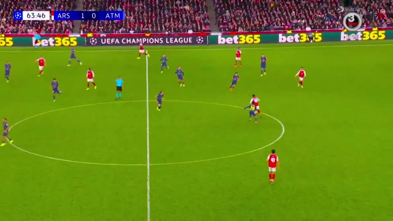 zaslepka skrotu video