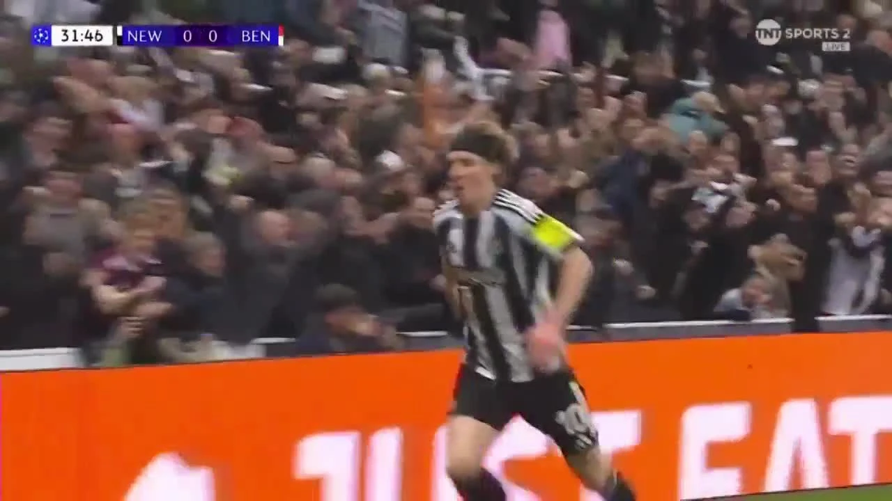 zaslepka skrotu video