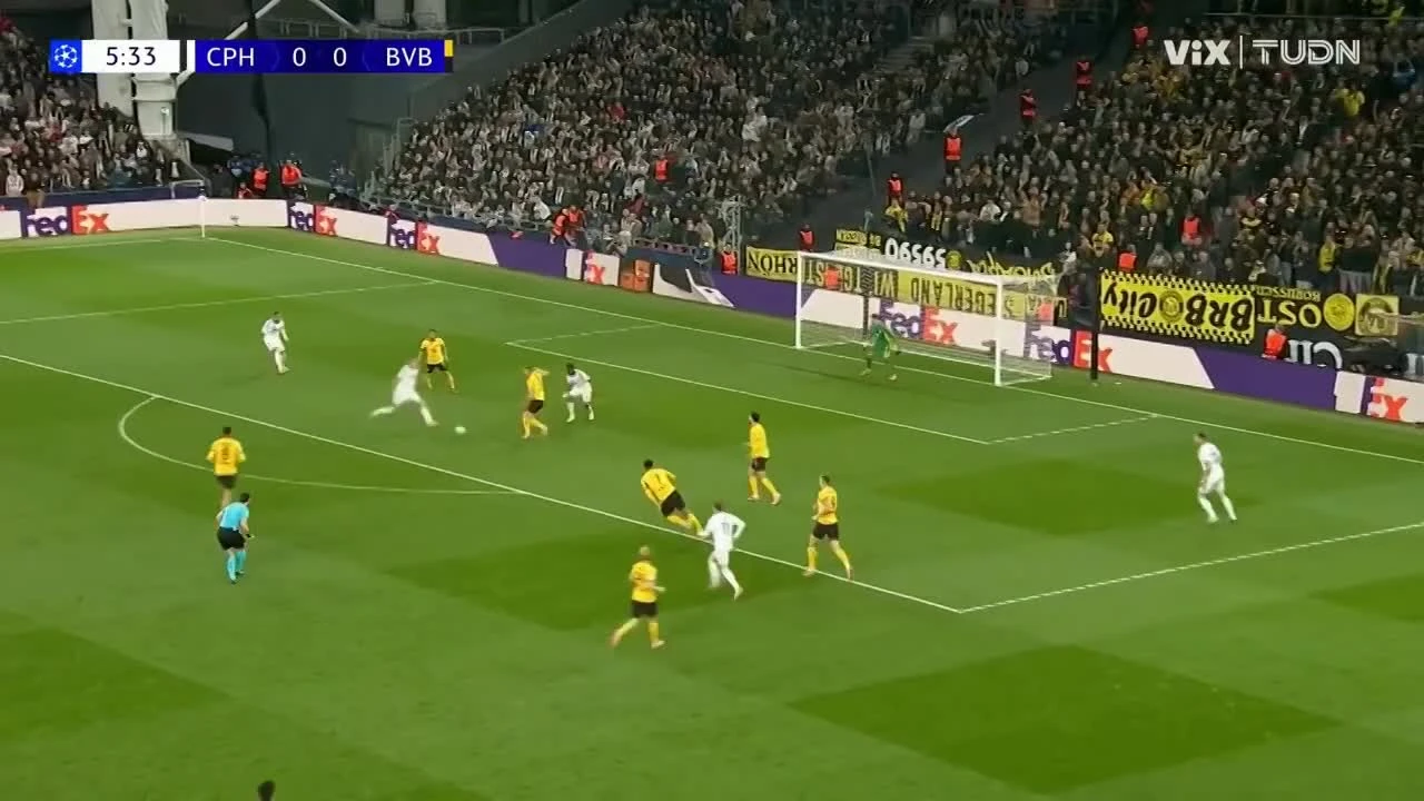 zaslepka skrotu video