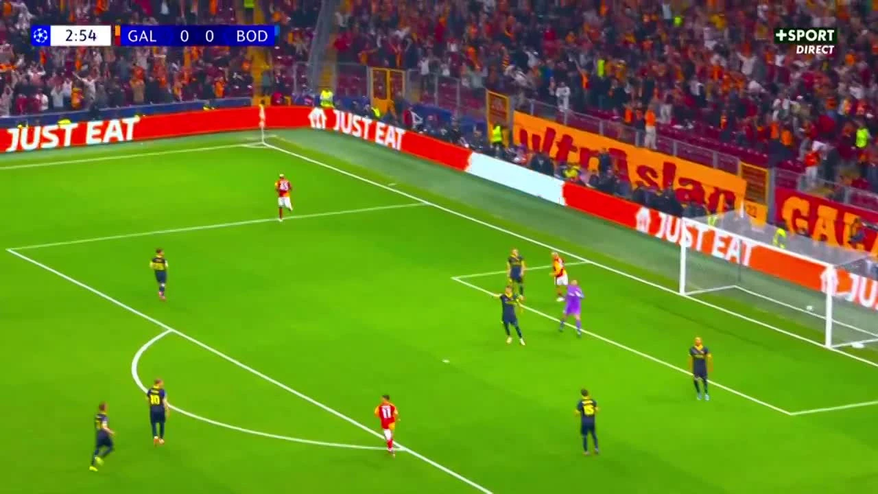 zaslepka skrotu video