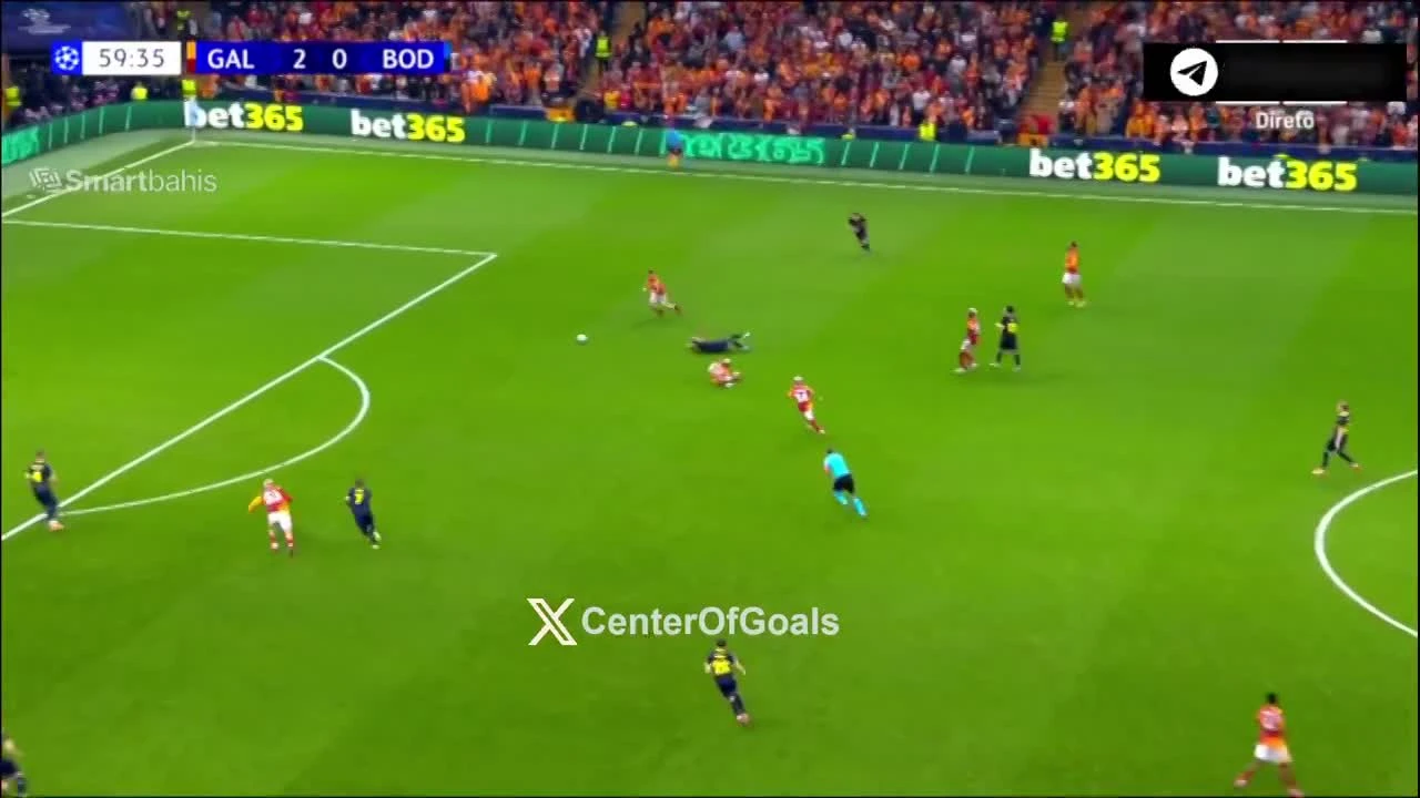 zaslepka skrotu video