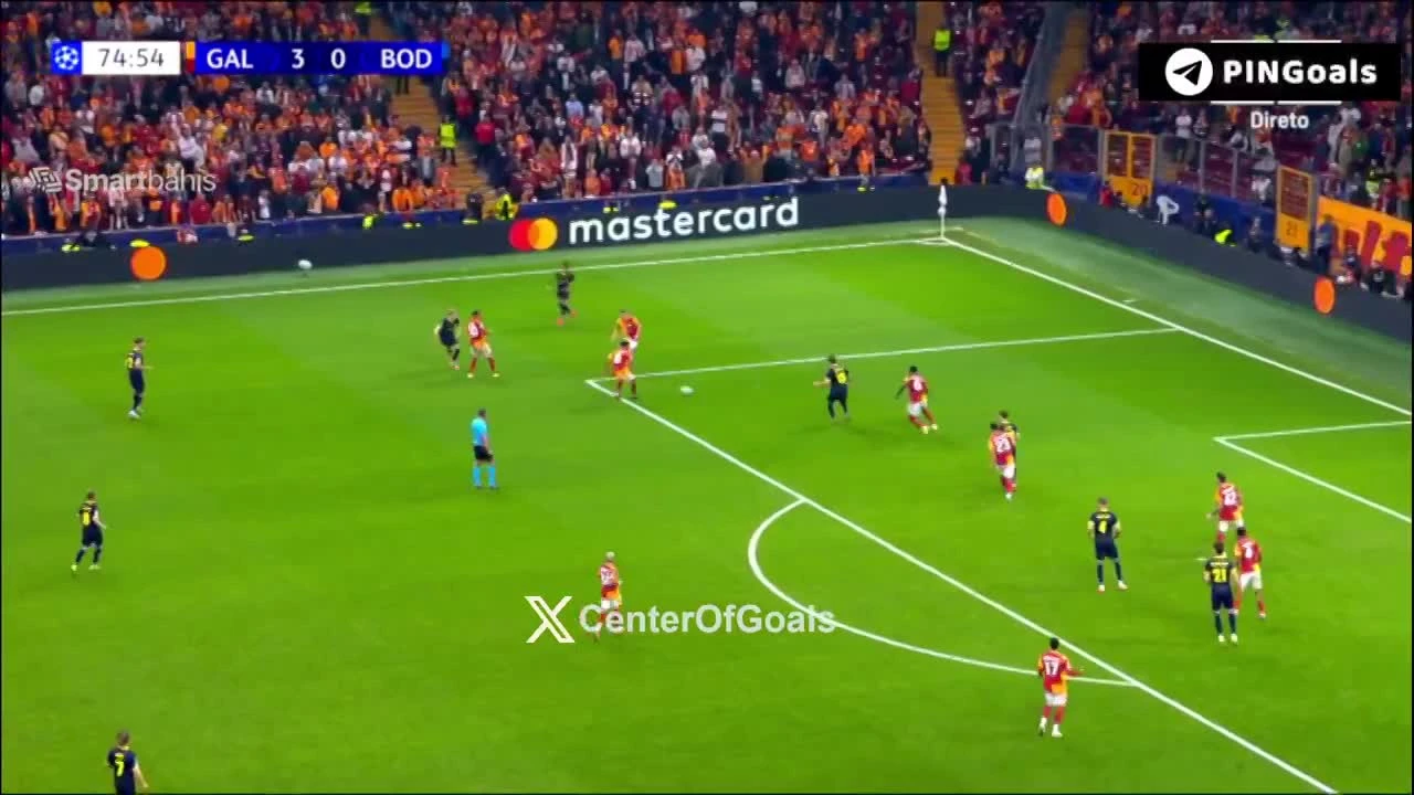 zaslepka skrotu video