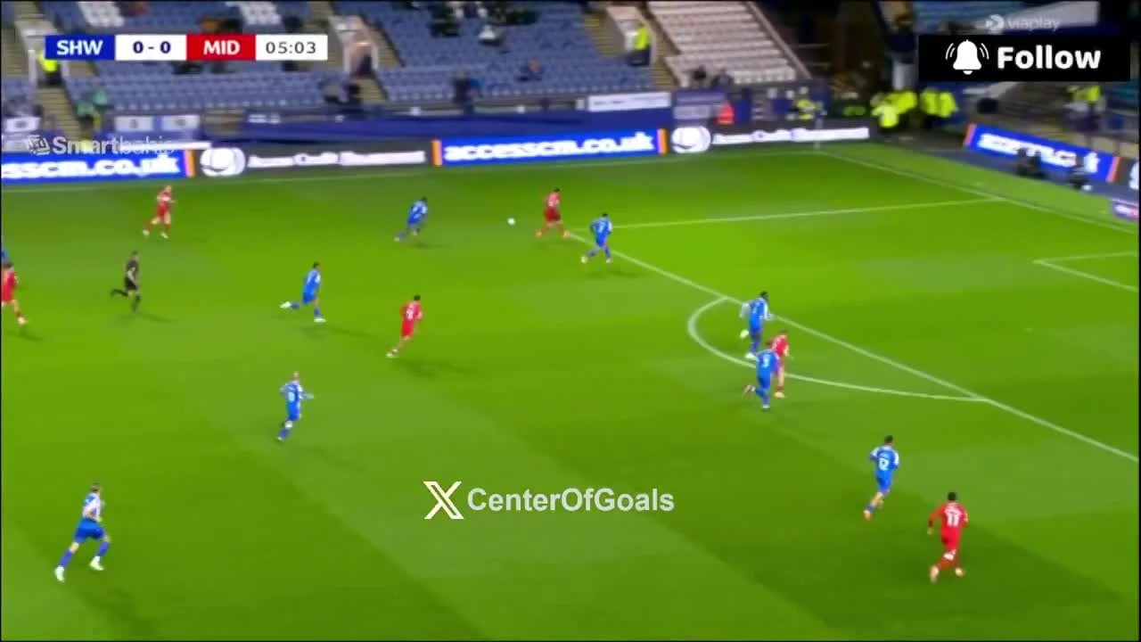 zaslepka skrotu video