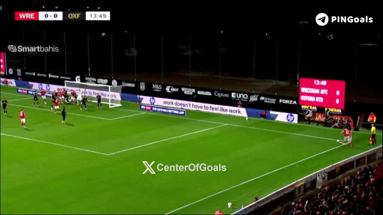 zaslepka skrotu video