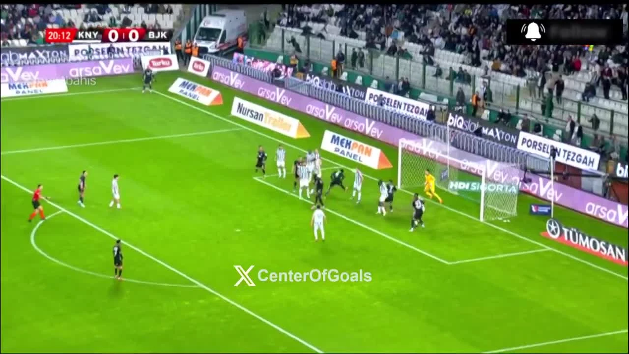 zaslepka skrotu video