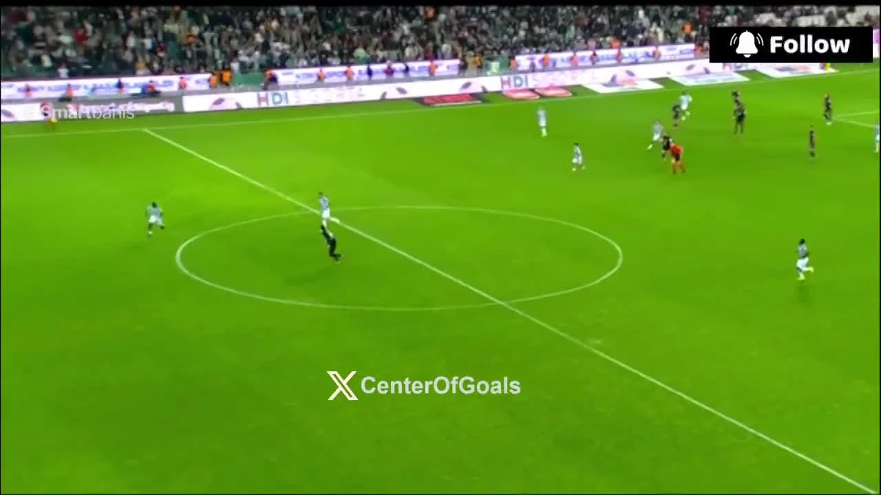 zaslepka skrotu video