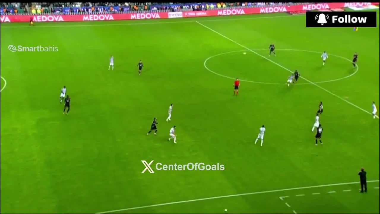 zaslepka skrotu video