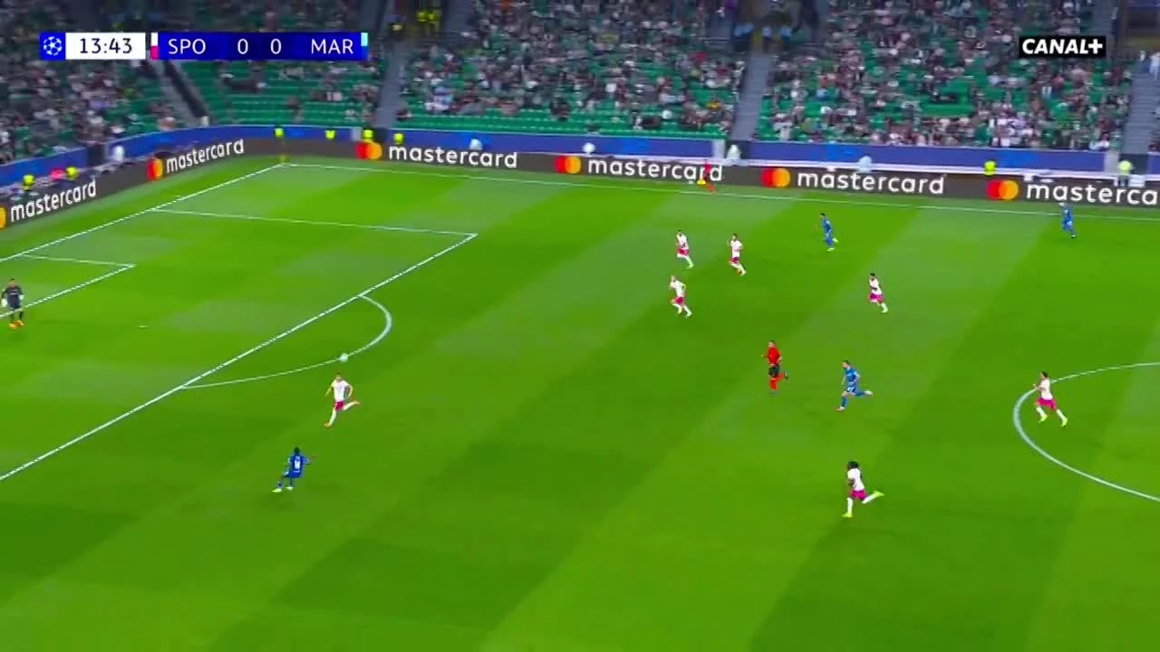 zaslepka skrotu video