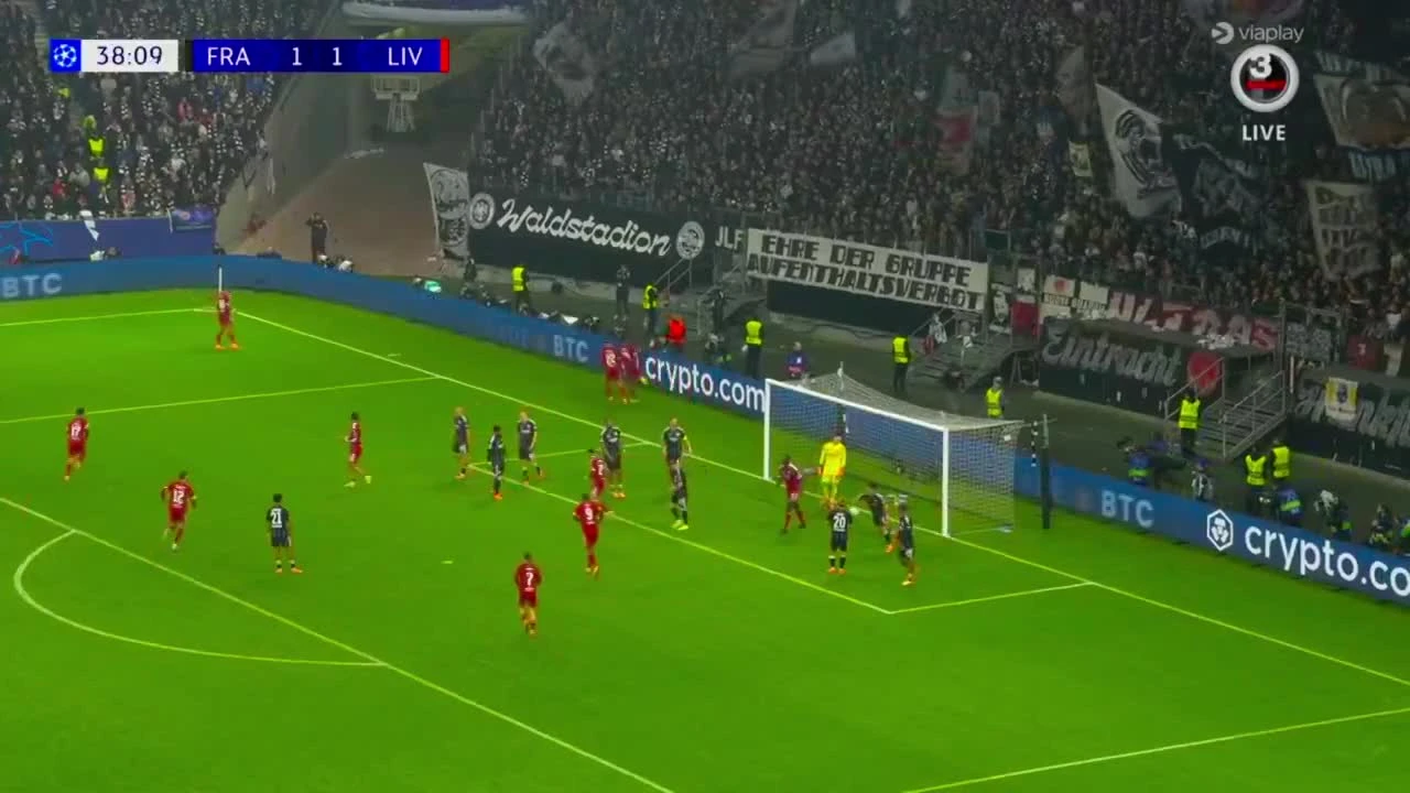 zaslepka skrotu video