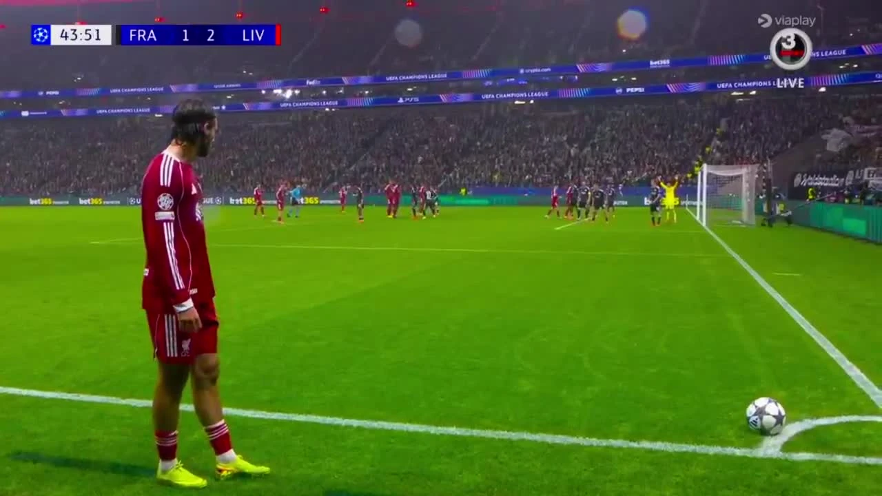 zaslepka skrotu video