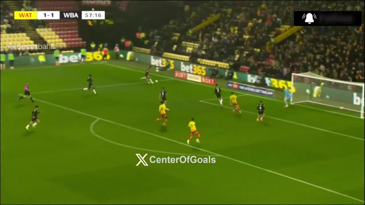 zaslepka skrotu video