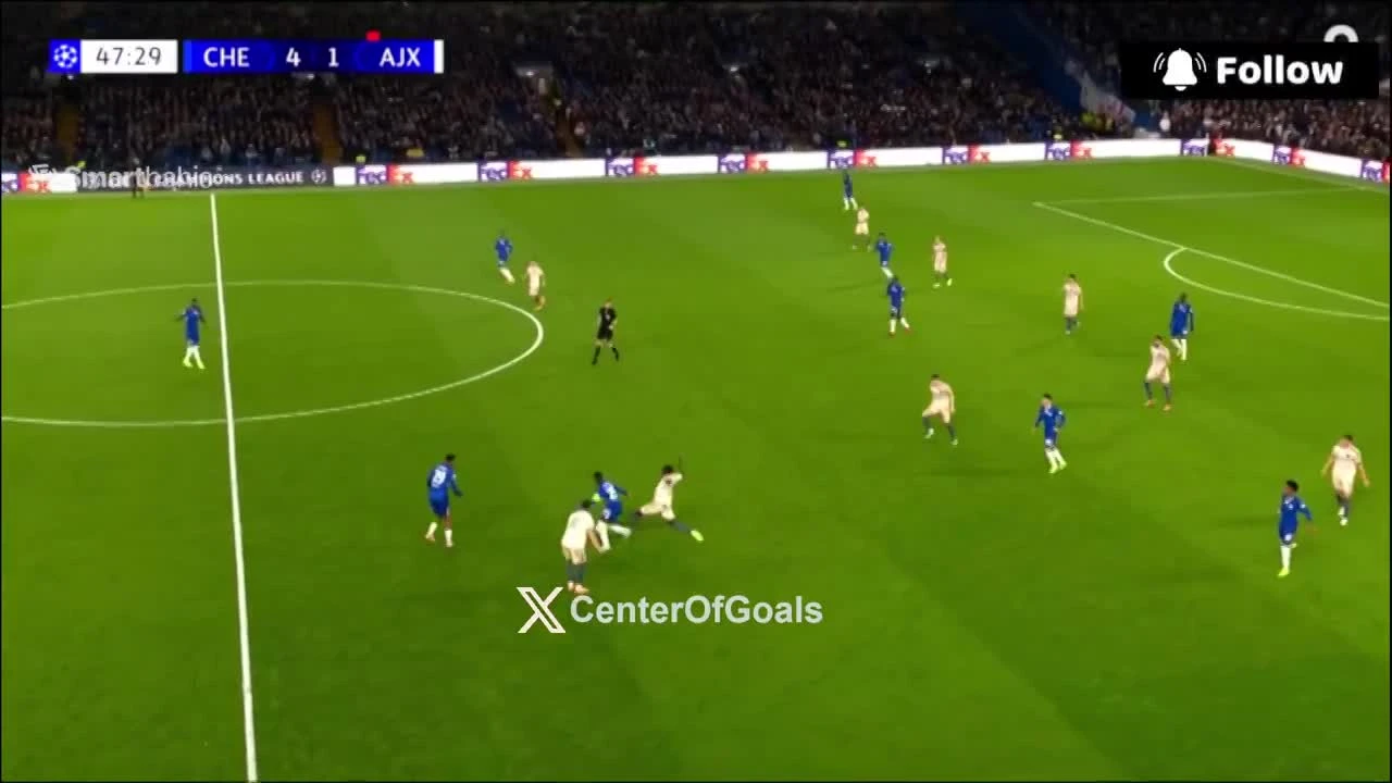 zaslepka skrotu video