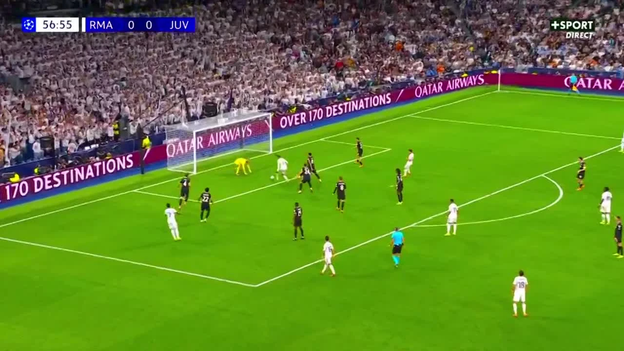 zaslepka skrotu video