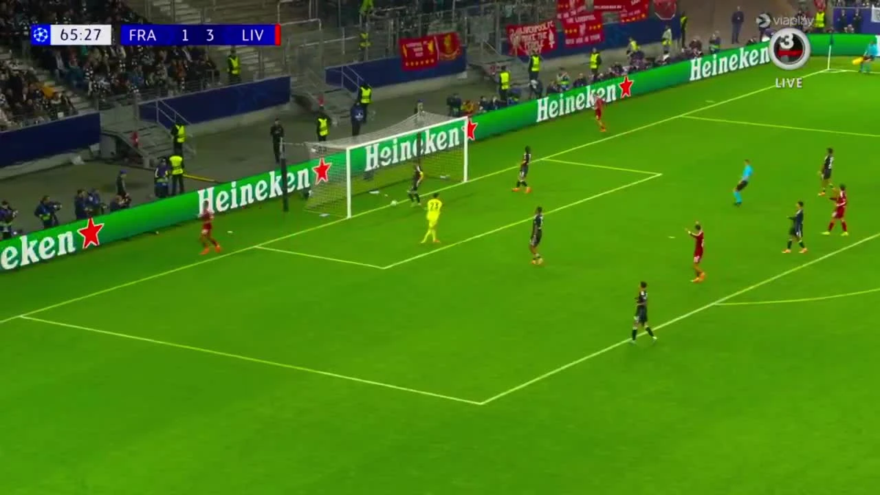zaslepka skrotu video